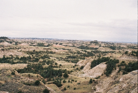 [View along the Ridgeline trail hike.]